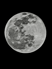 푸른바다와 녹음의 잎