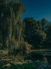 너의 꿈을 손에 쥐여 줄 수 있어