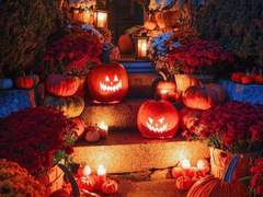 [뜰팁] Peek-A-Boo!