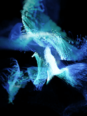 돌발! 상태이상 '%?&!%+#^' 발생!