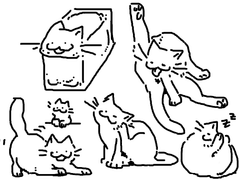 [커미션]천루아 커미션