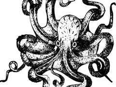 문어 상인이 찾아왔다