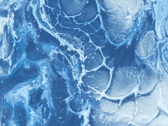 지금, 저는... 어떤 모습인가요?