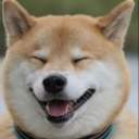 행복하면 짖는 개