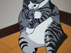 백신 후기 짤방냥이