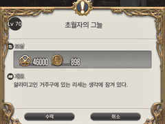 Lv. 70 초월자의 그늘