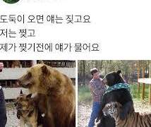얘는 짖고 난 찢고 쟨 물어