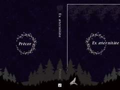 [세포신곡/레이하루] ex æternitáte(19금 미포함 본) 재고 판매 안내