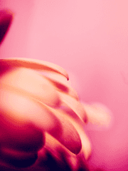 최숨 / 除領 ; 버림받다