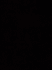 주인님? 사니와쨩?