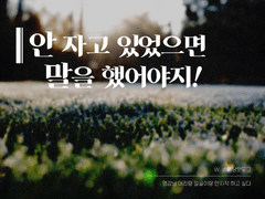 [에메히카] 안 자고 있었으면 말을 했어야지!