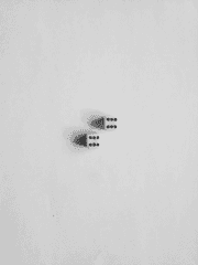 [CoC ORPG] 플레이 백업