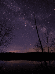 스텔라 러브 아젠타인