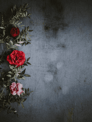 도리벤 드림 썰 백업 (@pH_07__)