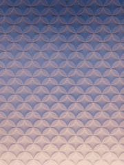 타임 프린세스-팬픽