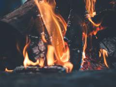 축제의 한켠에서