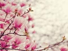 히어로 사무소(1화)