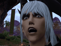 6.0 EN백업 EndWalker Part Ⅱ.