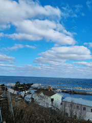 철학이 시라면 시인이 될 걸 그랬다