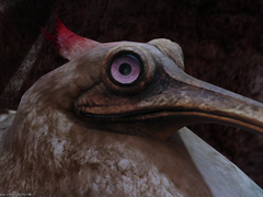 [Hamsa Retrieval] [도망친 함사]