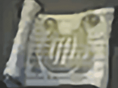 오케스트리온 악보집 - 지역