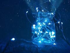 어른이되기전 마지막 연회