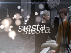 [BL]Siesta
