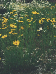 아무의 잘못도 아니야