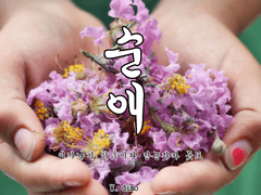 [히후도] 순애(純愛)