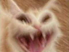 이젠 선생님도 미워!!!!!!!!!!!!!