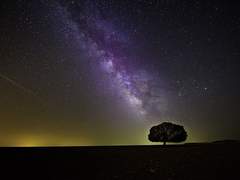 계절의 별을 담은 밤하늘은 가만있을줄 모르고.