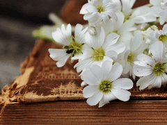 [AU] 레나 러브굿의 회고록