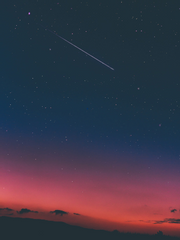 심해의 올빼미와 메도빅