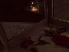 𝑨𝒃𝒔𝒆𝒏𝒄𝒆 𝒎𝒂𝒌𝒆𝒔 𝒕𝒉𝒆 𝒉𝒆𝒂𝒓𝒕 𝒈𝒓𝒐𝒘 𝒇𝒐𝒏𝒅𝒆𝒓