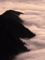 블록버스터 블랙헤븐