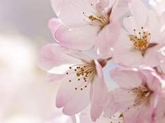 2.처음은 조금 무난하게