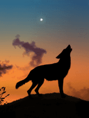 [후시이타] 개와 늑대의 시간