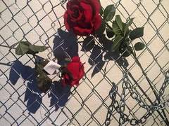 굳이 끊어내야 하니?