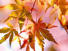 설마 오늘이 무슨 날인지 모르는 건 아니겠지?