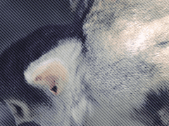 There's nothing holdin' me back