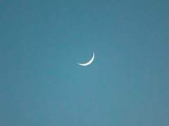 파는게 너무 많아져서