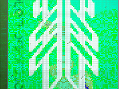 VIII: 또한 빛이다