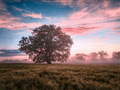 등전만리심(燈前萬里心)_외전 1