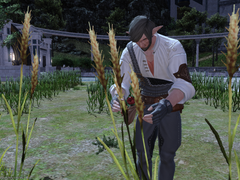 [Learning to Sow] [품종 개량의 세계]