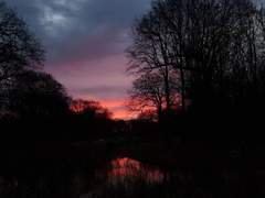 어쩌다 오게 되었습니까