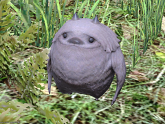 [Lost Little Troll] [길 잃은 복슬이]