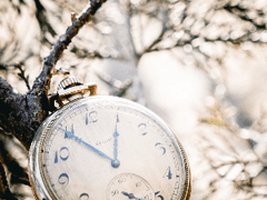 부부 싸움은 본인들 시간선에서 하세요. (中 - 下)