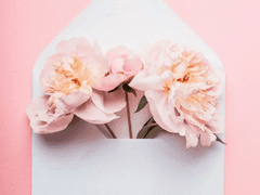 [레지나레나] 레나에게 전하는 편지