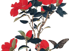 2화 變數 (변수)