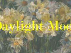 공존과 갈등의 사이